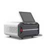 Lefis Portable 1200W
